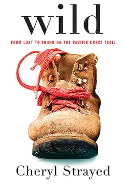 Wild: From Lost to Found on the Pacific Crest Trail