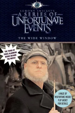 The Wide Window