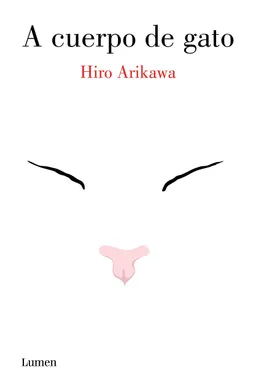 The Travelling Cat Chronicles