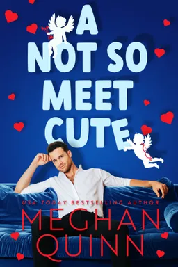 A Not So Meet Cute