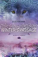 Winter's Passage