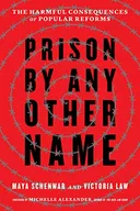 Prison by Any Other Name: The Harmful Consequences of Popular Reforms