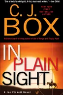 In Plain Sight