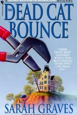 The Dead Cat Bounce