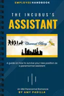 The Incubus's Assistant