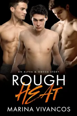 Rough Heat