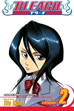 Bleach, Vol. 2